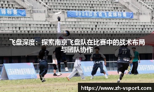 飞盘深度：探索南京飞盘队在比赛中的战术布局与团队协作
